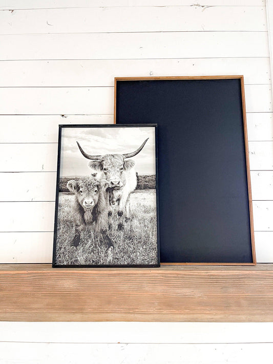 Stella and Calf Highland Cow and baby Fluffy CowPhotos; Framed Wood Photo Signs