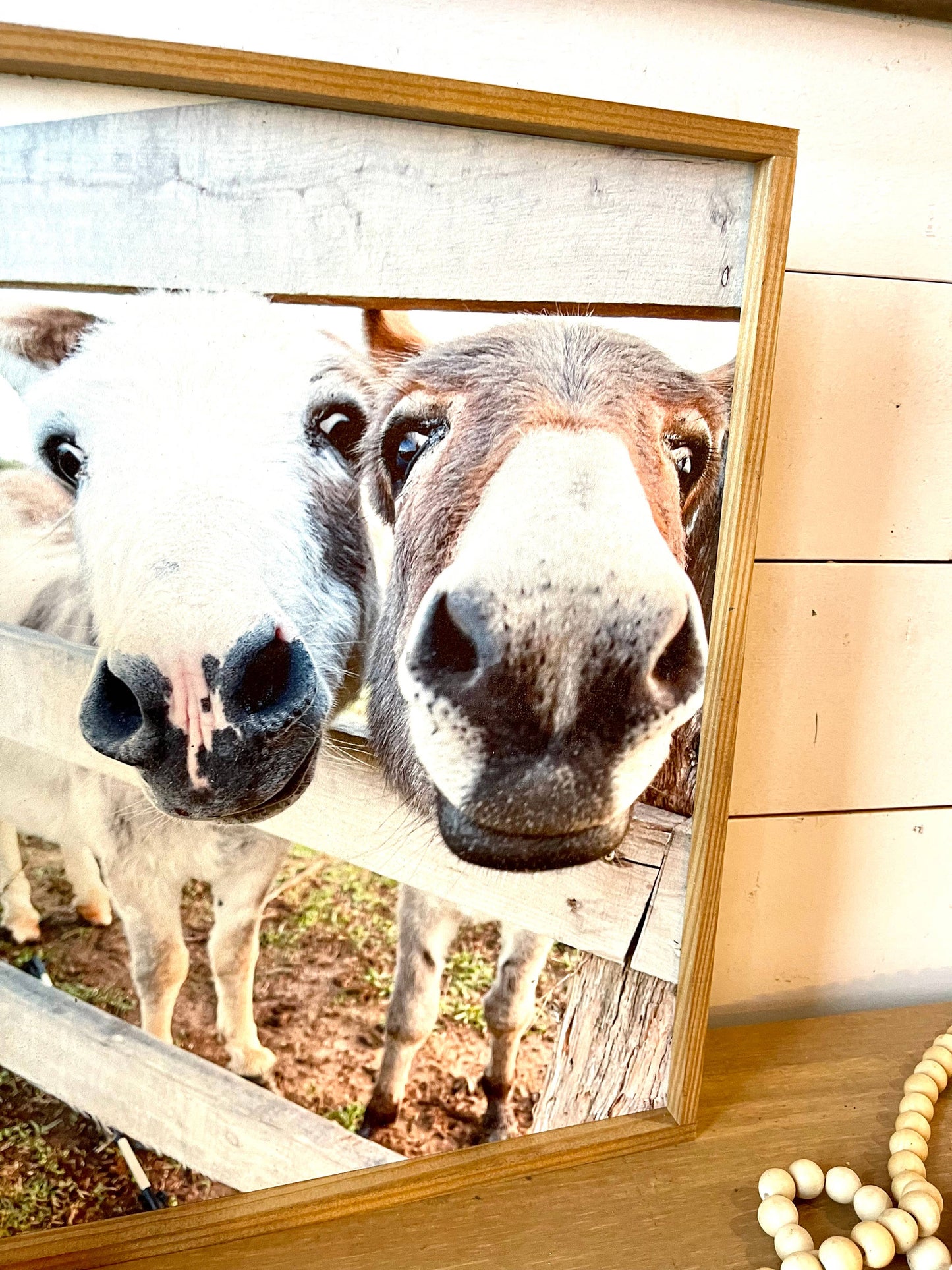 Mini Donkey Faces Long Ears Love Farm Animal wood sign