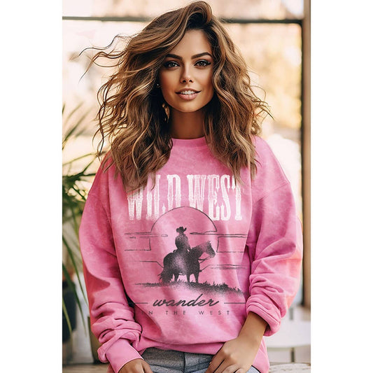WILD WEST WANDER MINERAL GRAPHIC SWEATWHIRTS