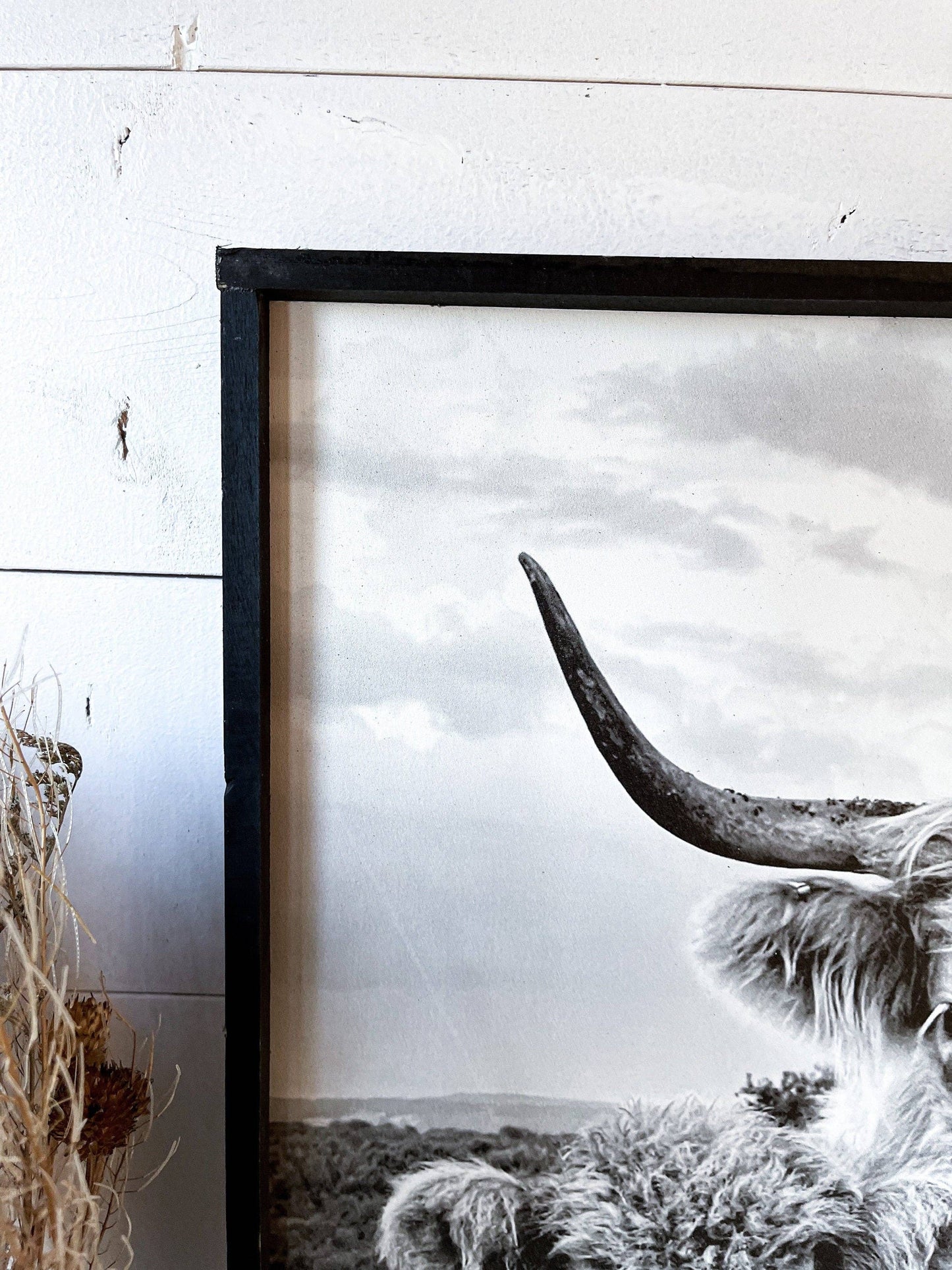 Stella and Calf Highland Cow and baby Fluffy CowPhotos; Framed Wood Photo Signs
