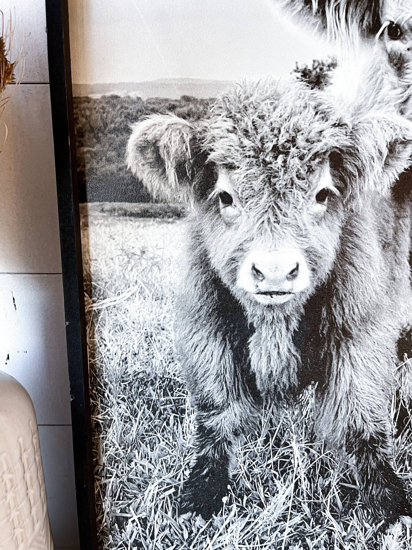 Stella and Calf Highland Cow and baby Fluffy CowPhotos; Framed Wood Photo Signs